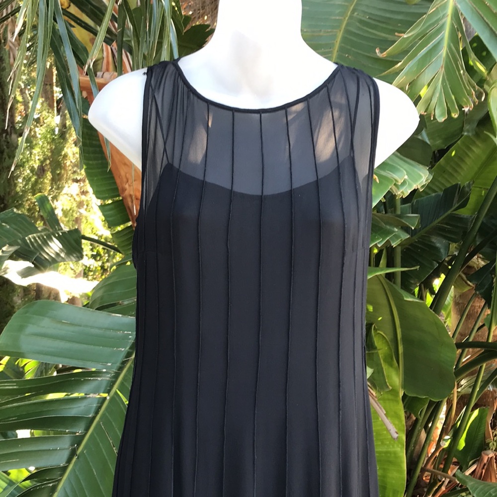 Teri Jon sheer silk two piece dress and slipdress